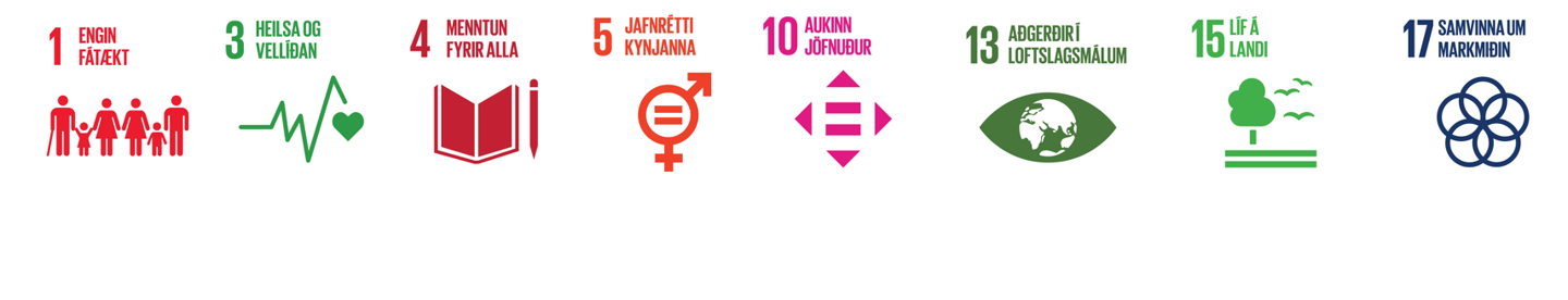 Sdg Alþjóðar