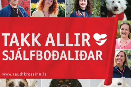 Sjalfbodalidar Frettabladid 2