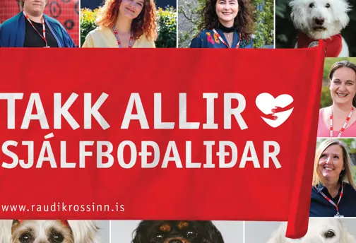 Sjalfbodalidar Frettabladid 2