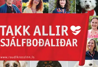 Sjalfbodalidar Frettabladid 2