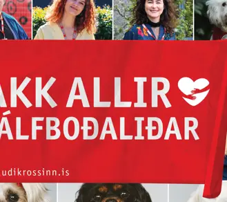 Sjalfbodalidar Frettabladid 2