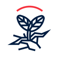 Seigla