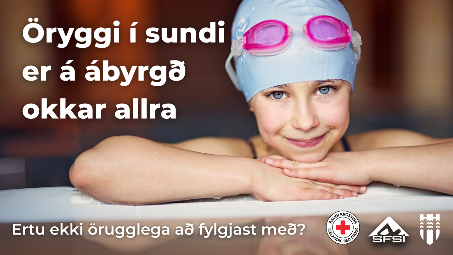Öryggi Mynd3