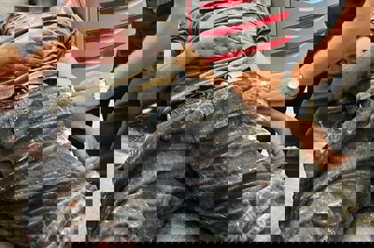 IMG 20250801 WA0013