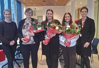 Höfuðborgardeild Viðourkenning