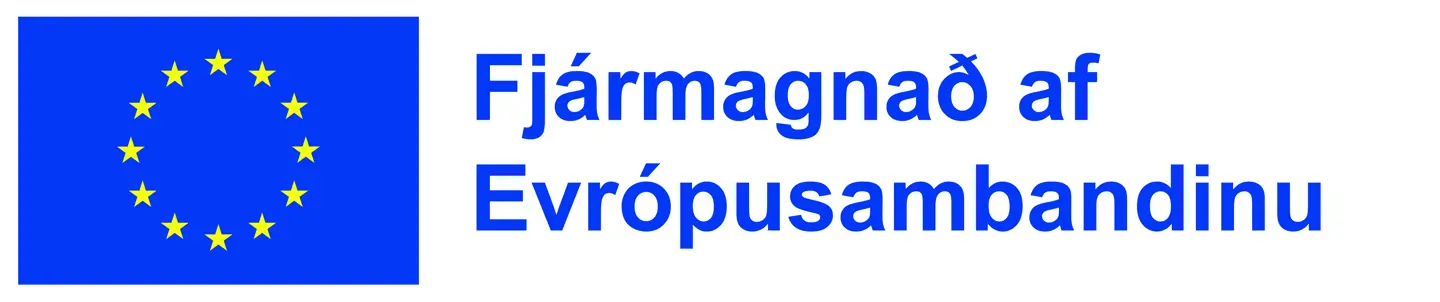 IS Fjármagnað Af Evrópusambandinu POS