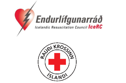 Skjámynd 2023 04 03 154107